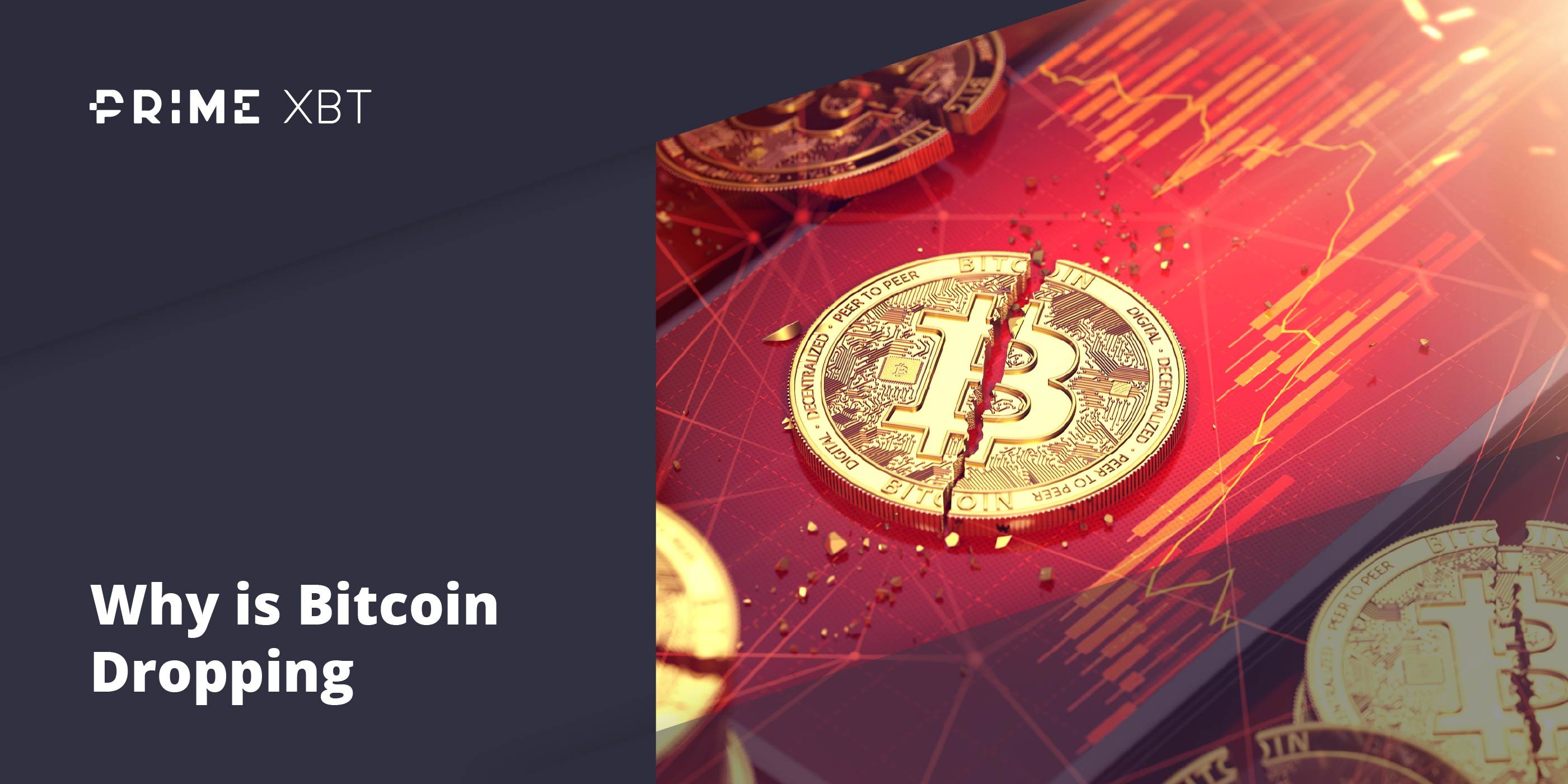 What To Do and What Not To Do When Bitcoin Is Dropping and Why What To Do and What Not To Do When Bitcoin Is Dropping and Why - primexbt btc dropping