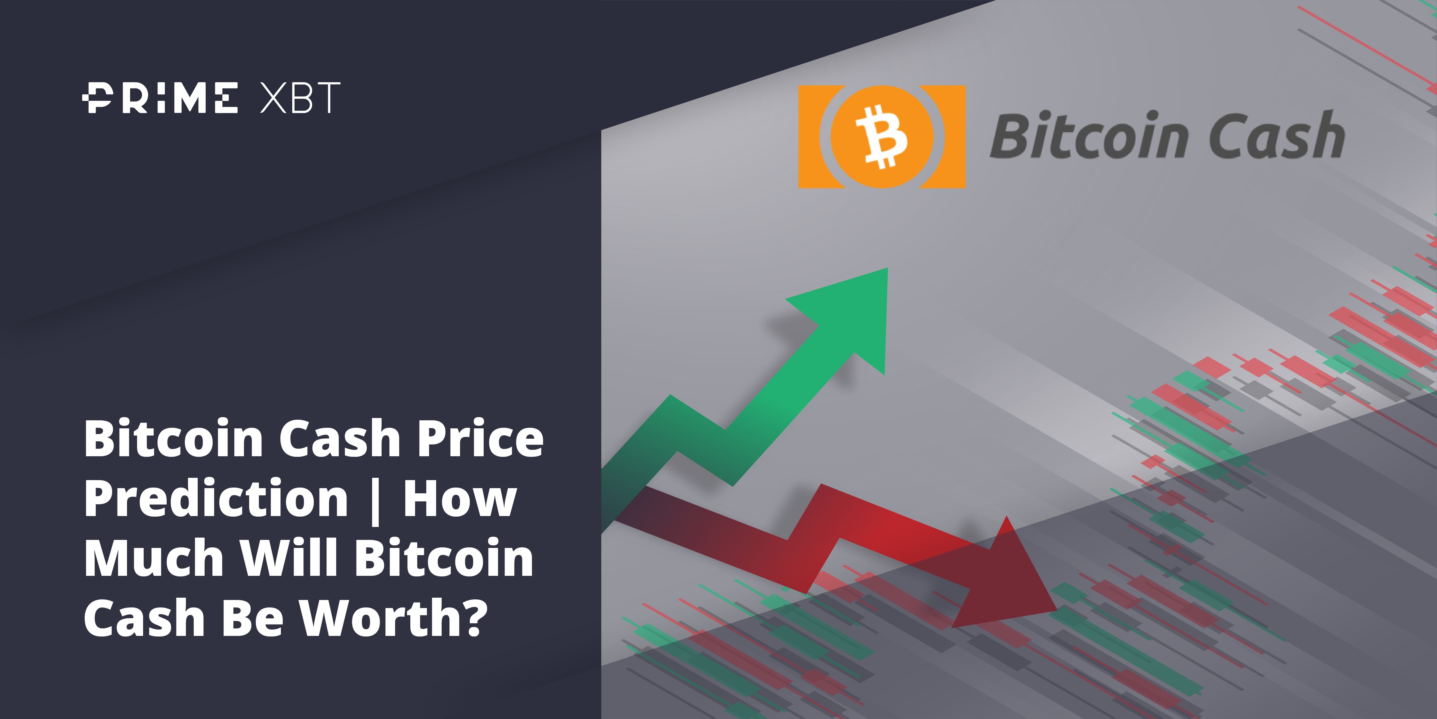 Predicting the Price of Bitcoin Cash for 2022, 2023, and 2025 Predicting the Price of Bitcoin Cash for 2022, 2023, and 2025 - bitcoin cash