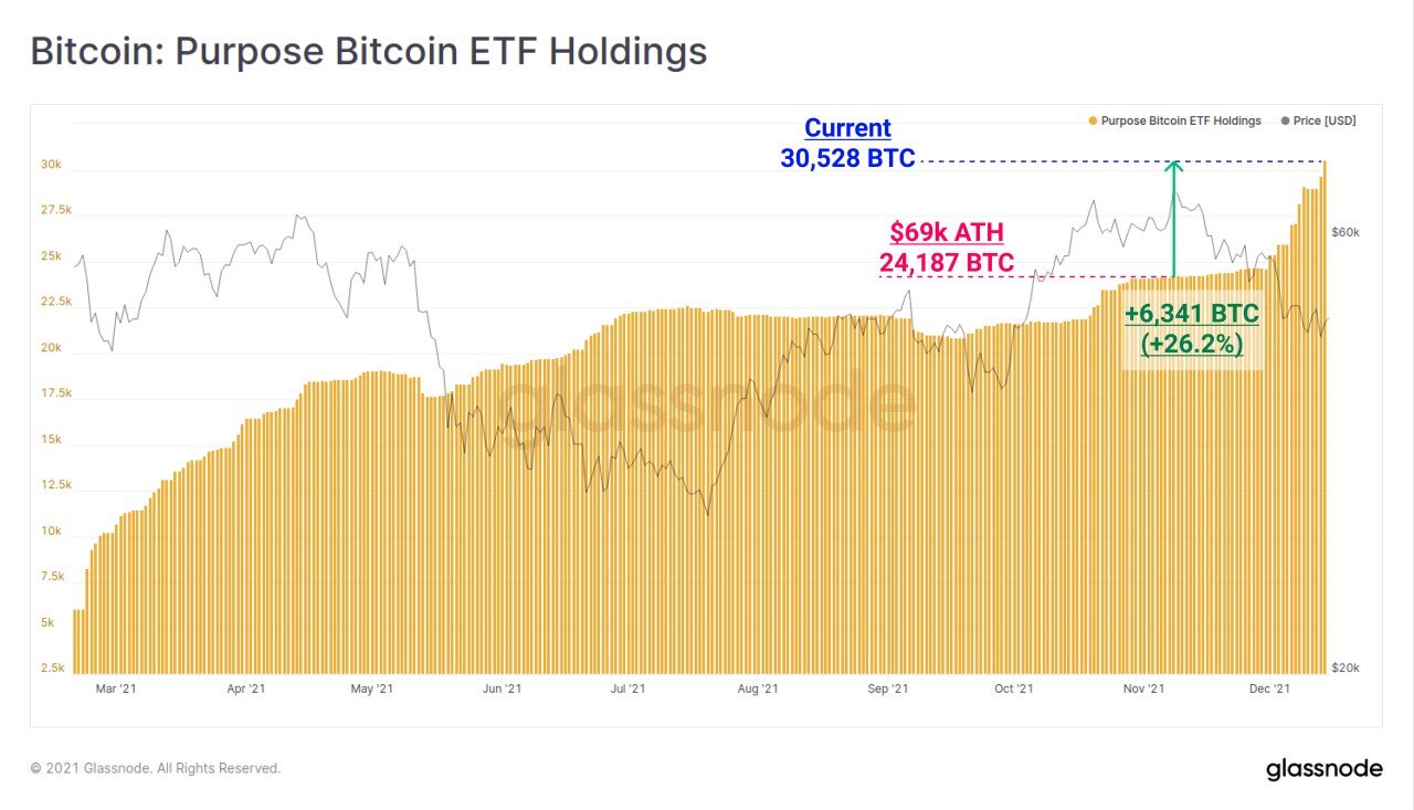 Taper Tantrum Hits Stocks and Crypto As FED Signals Taper and Bank of England Rises Rates Taper Tantrum Hits Stocks and Crypto As FED Signals Taper and Bank of England Rises Rates - Purpose BTC ETF
