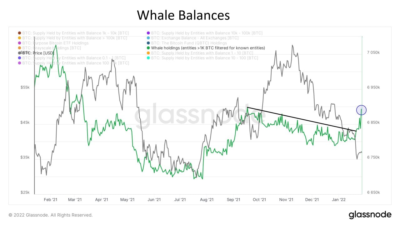 Stocks See Wild Volatility While $33,000 Mark Manages To Save BTC From Further Decline Stocks See Wild Volatility While $33,000 Mark Manages To Save BTC From Further Decline - BTC whale balance