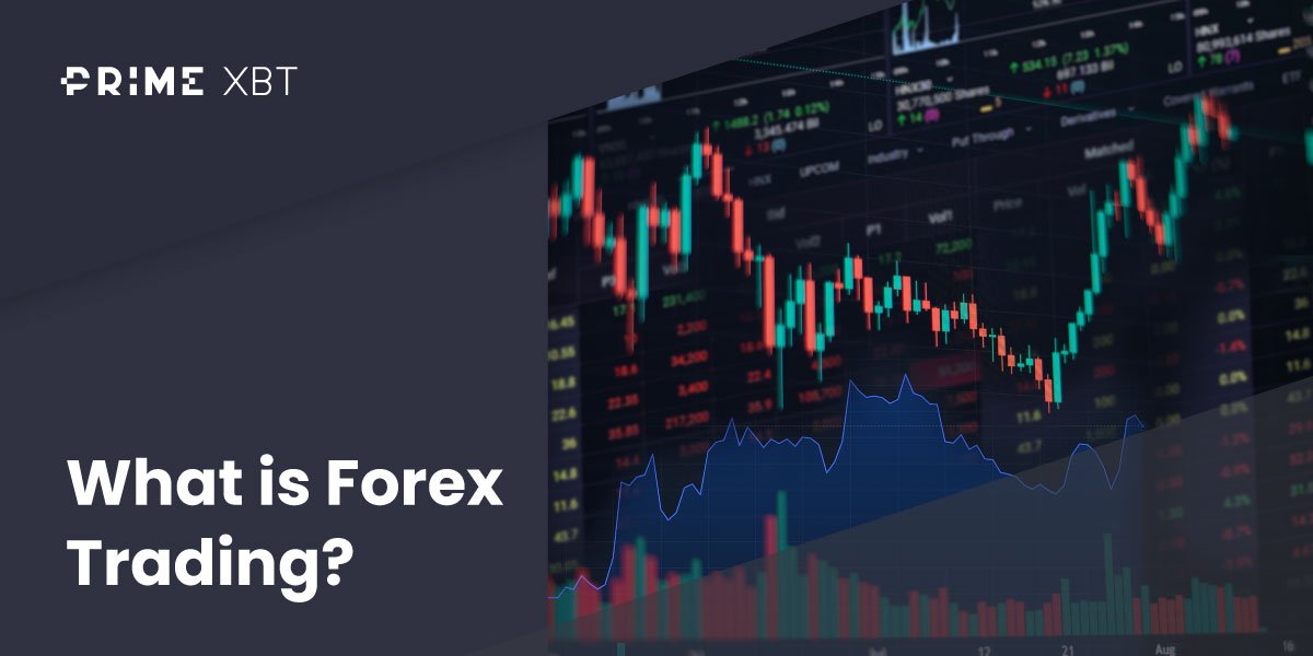 What is forex trading? What is forex trading? - Blog forex 03 03