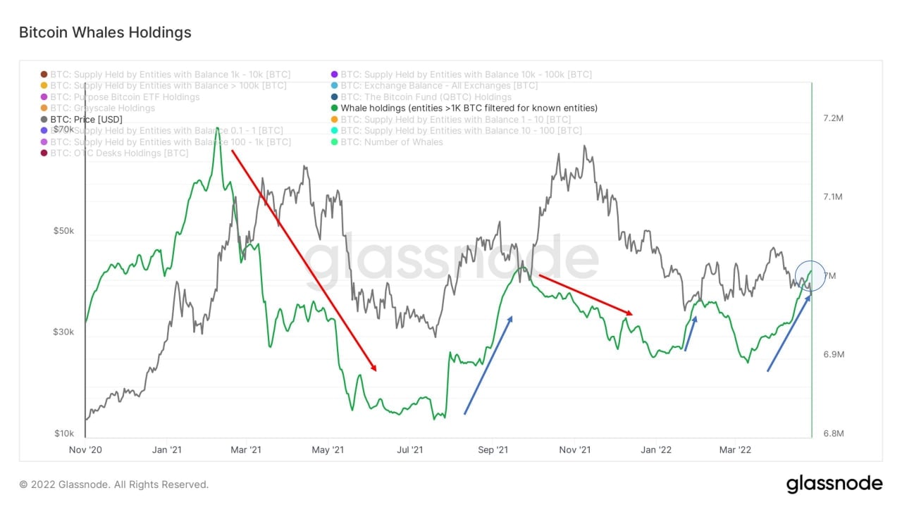 Market Research Report: BTC Grinds Lower, Altcoins Crushed As Stocks Plummet To Year&rsquo;s Low; Oil Jumps 9% - BTC 1k whales
